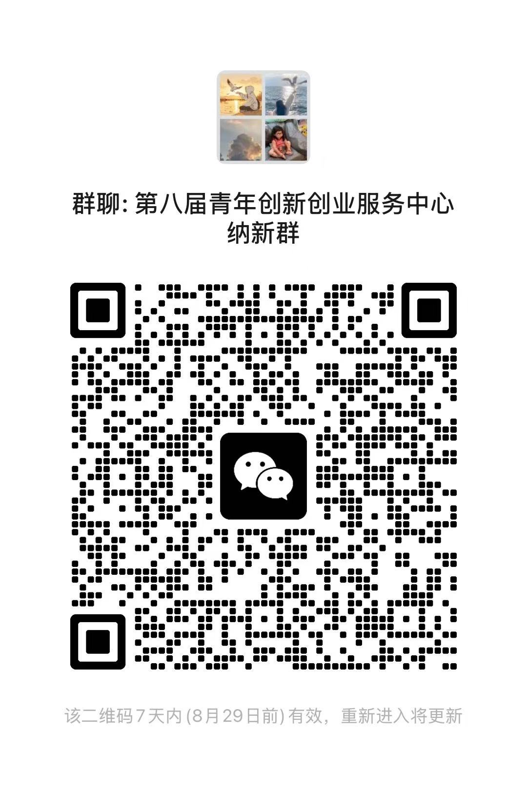 纳新咨询群